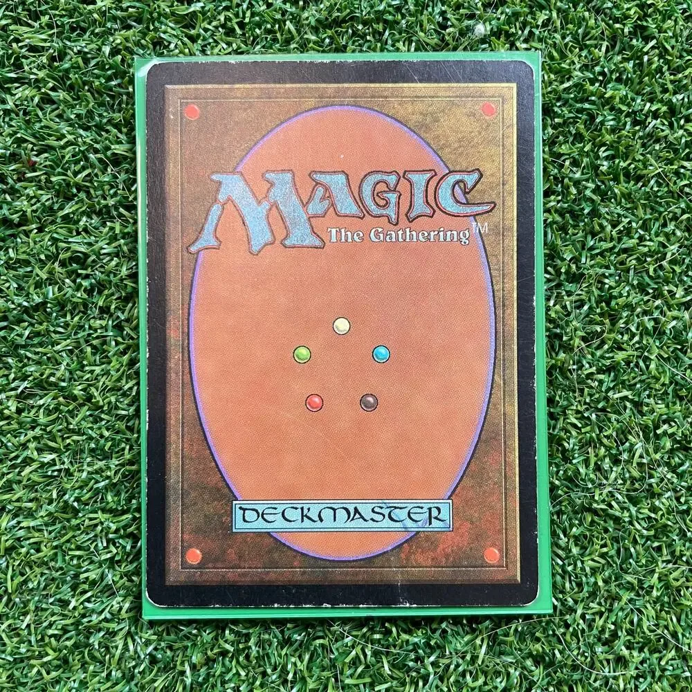 MTG Forest 1997 Douglas Shuler Art Vintage Basic Land Magic Card LP